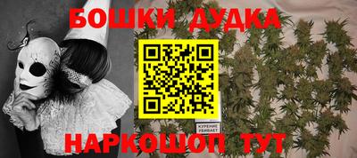 гашик Шахты