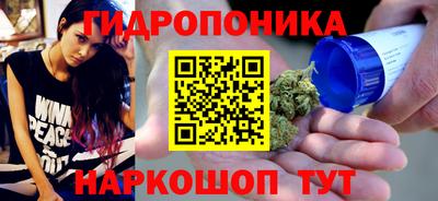 прущие грибы Шебекино
