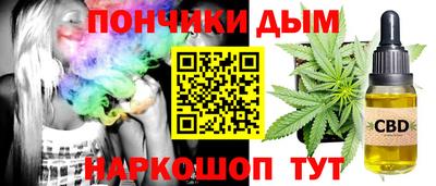 гашик Шахты