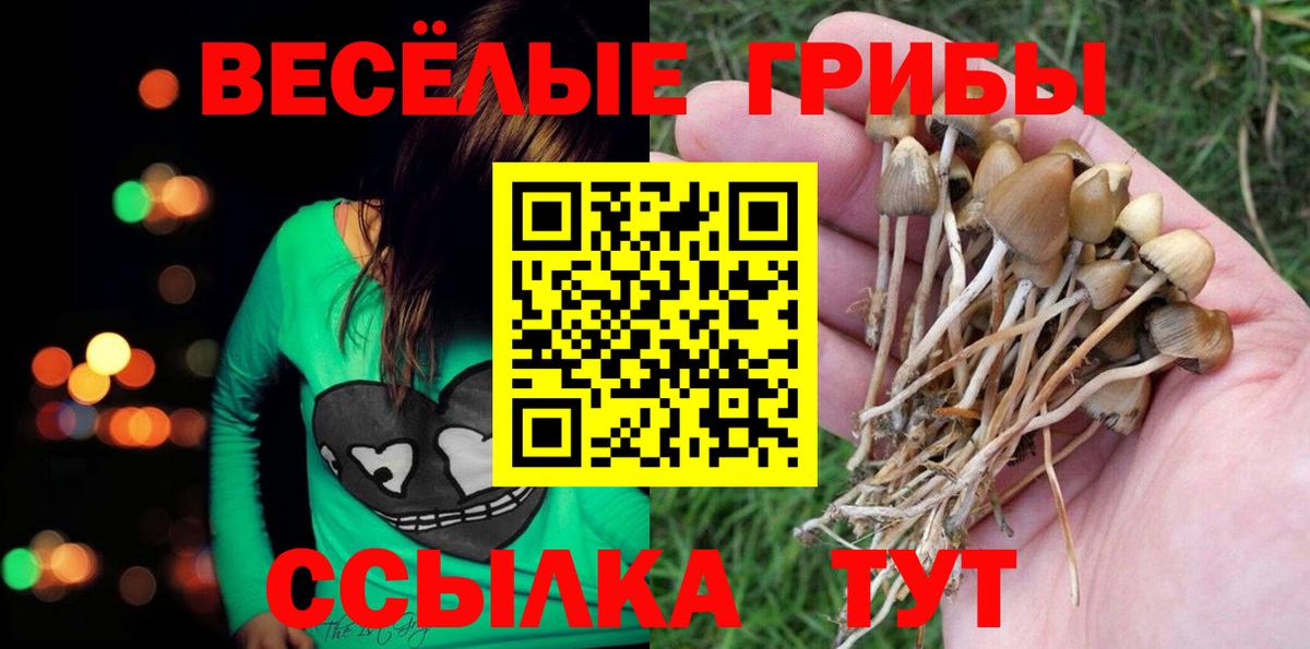 Алейск  Галлюциногенные грибы мухоморы  Вход с VPN 